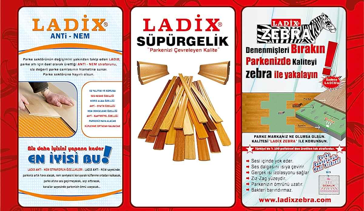 ladix1.jpg